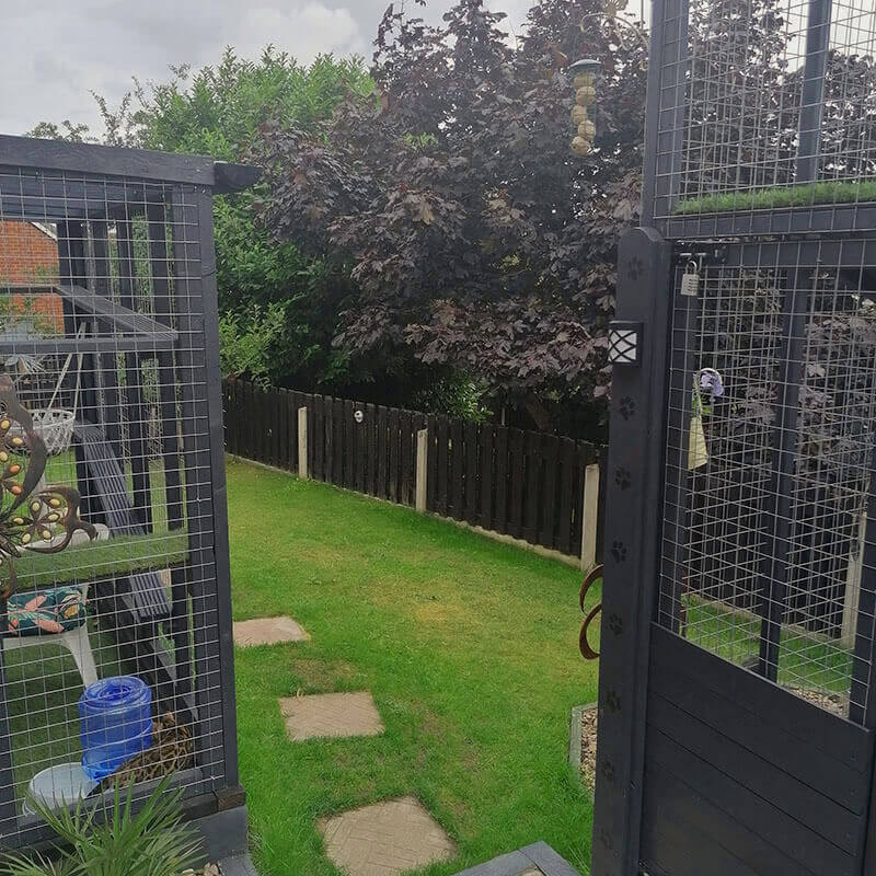 two bengal cat enclosures in the summer